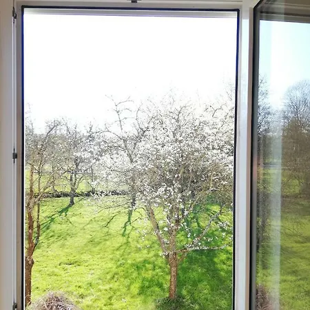 Ferienwohnung Apfelblute 公寓